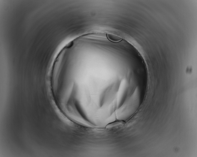 X0000101711152200807241450