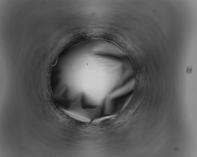 X0000101711153200807241449