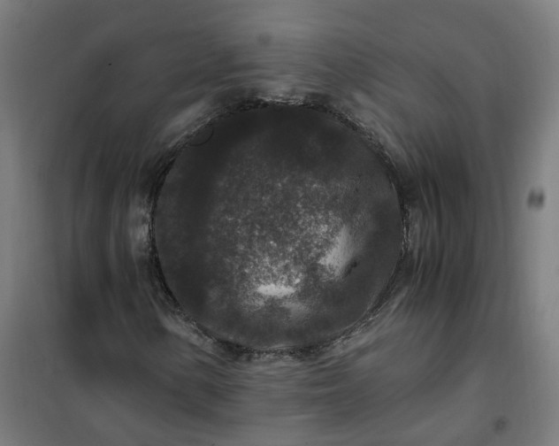 X0000101711154200807241449