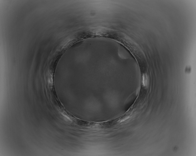 X0000101711155200807241449