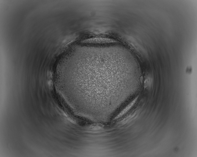 X0000101711156200807241449