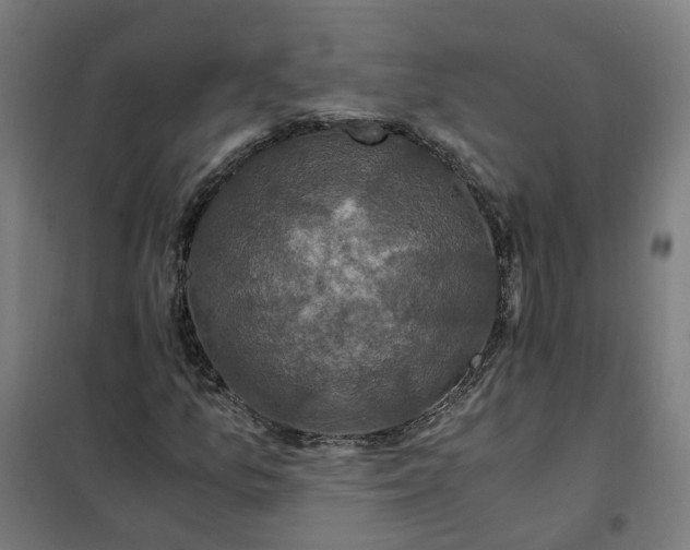 X0000101711157200807241449