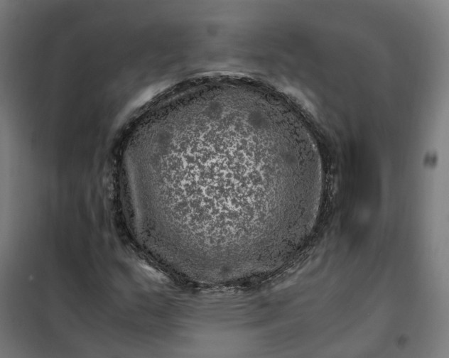 X0000101711159200807241449