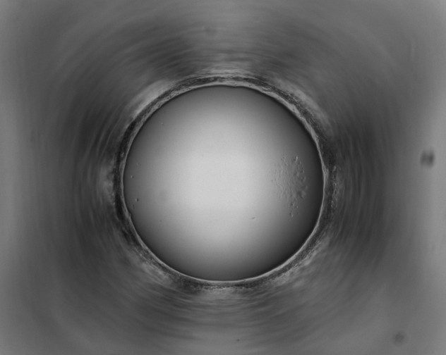 X0000101711162200807241449