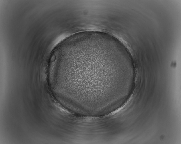 X0000101711163200807241449