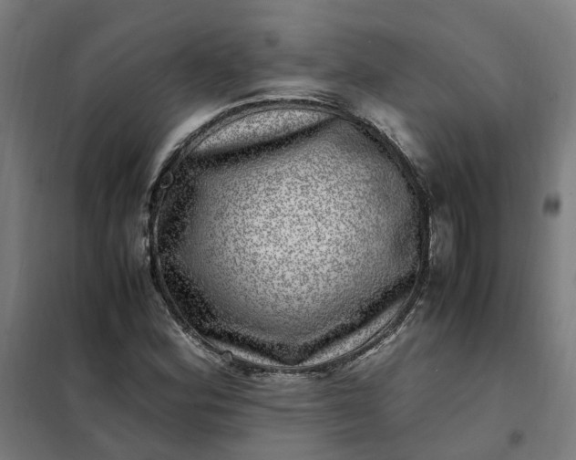 X0000101711164200807241449