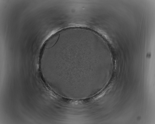 X0000101711165200807241449