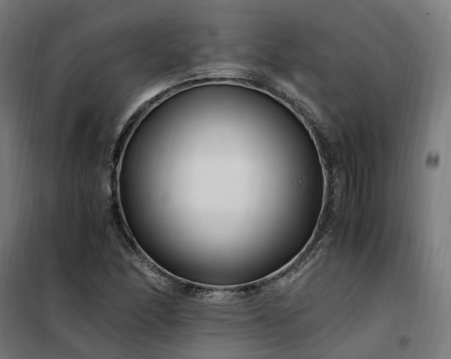 X0000101711166200807241449