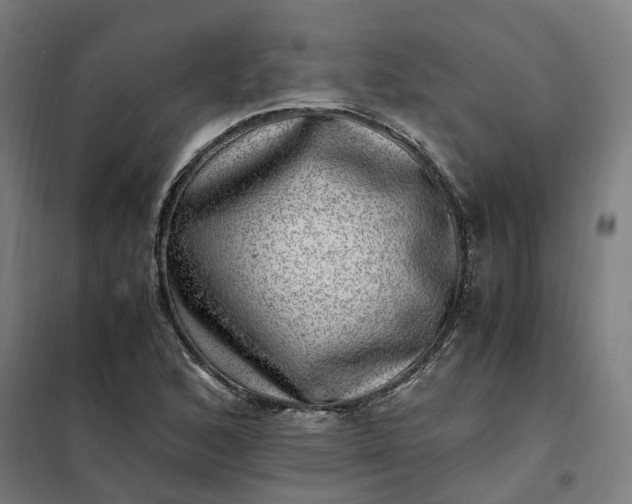 X0000101711168200807241449