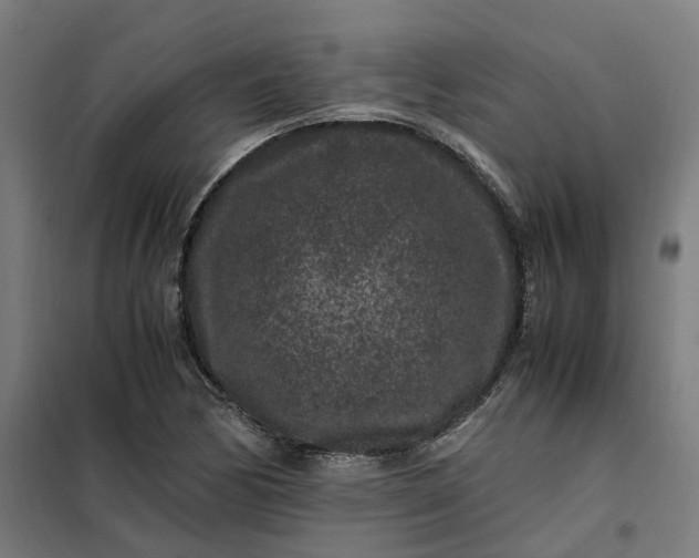 X0000101711170200807241449