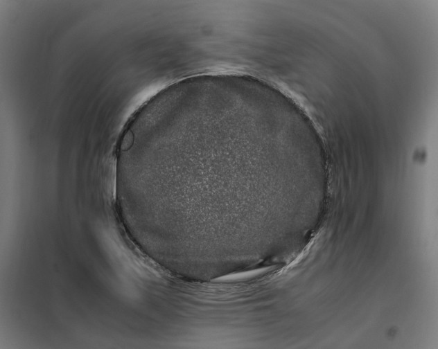 X0000101711171200807241449