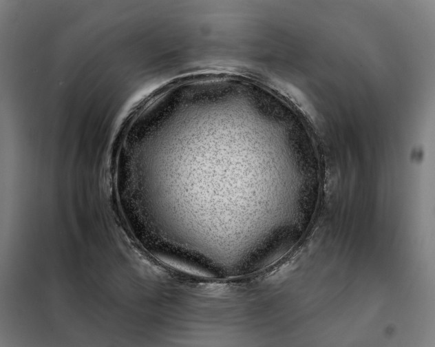 X0000101711172200807241449