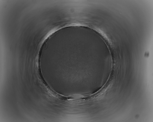 X0000101711173200807241449