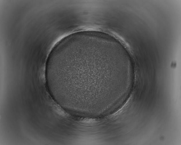 X0000101711174200807241449