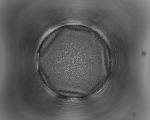 X0000101711175200807241449