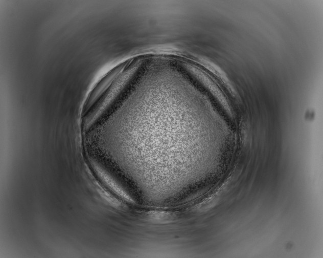 X0000101711176200807241449