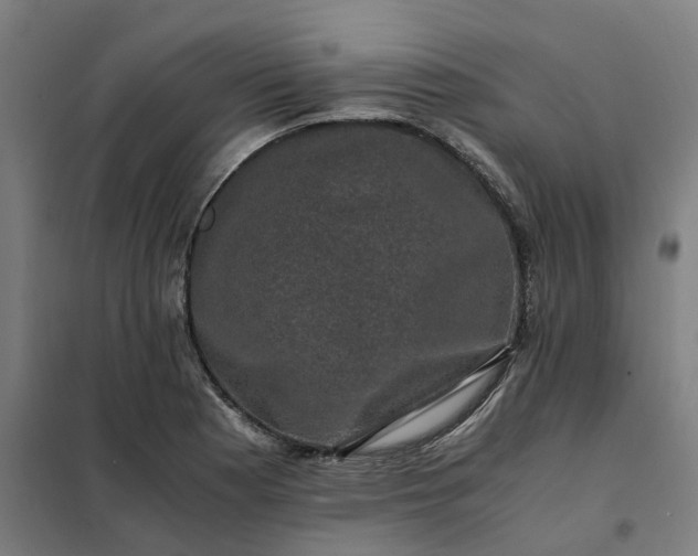 X0000101711177200807241449