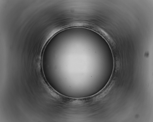 X0000101711178200807241449