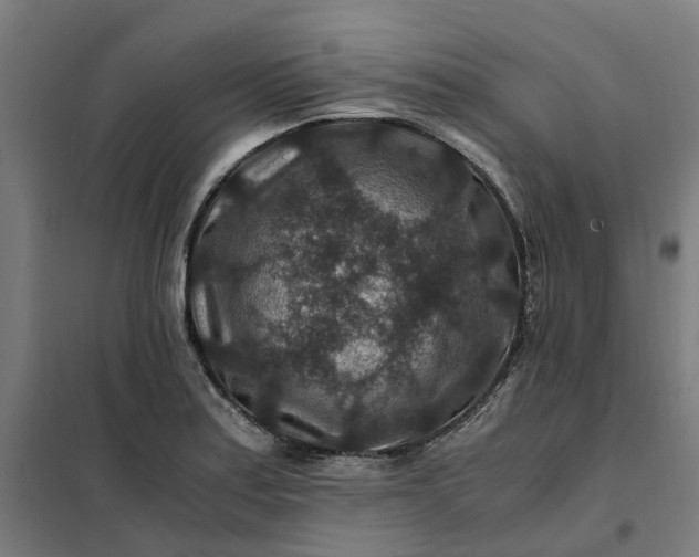 X0000101711179200807241449