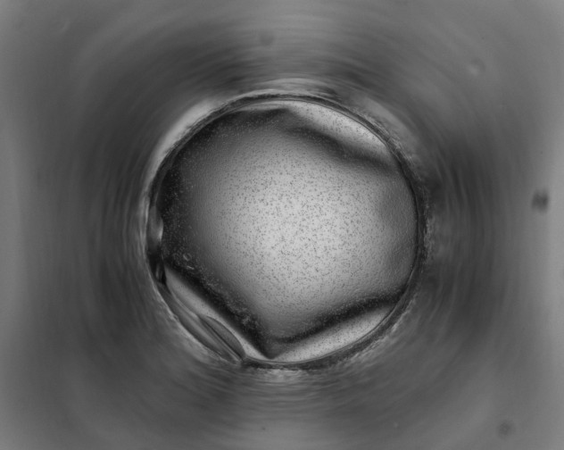 X0000101711180200807241449