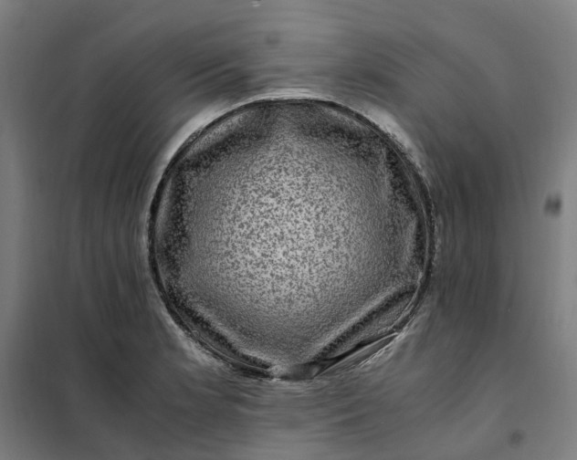 X0000101711181200807241449