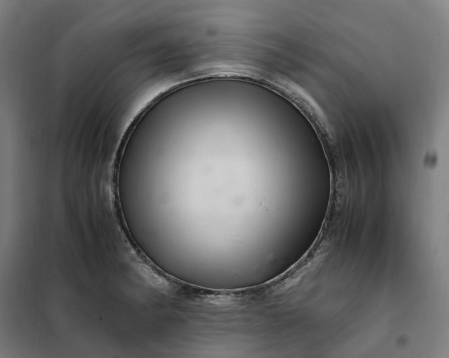 X0000101711182200807241449