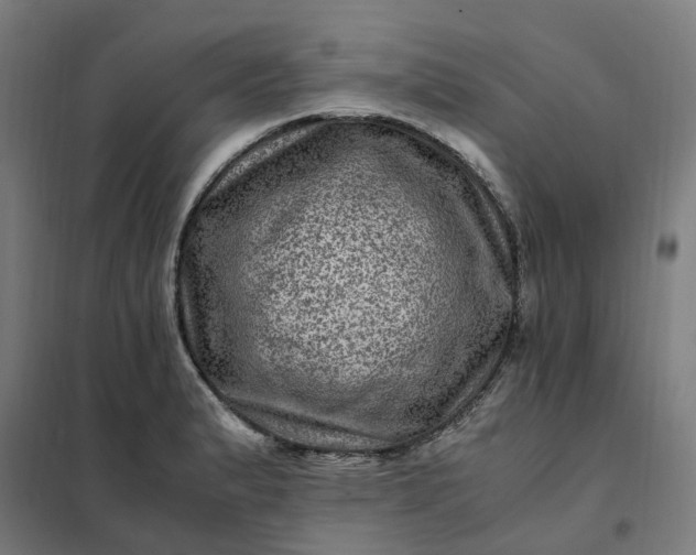 X0000101711183200807241449