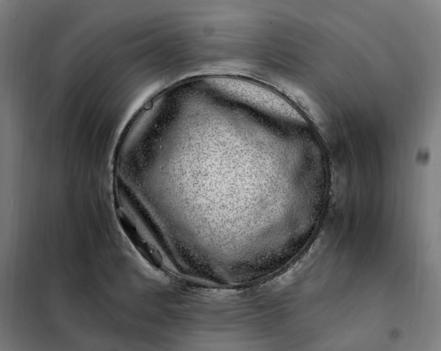 X0000101711184200807241449