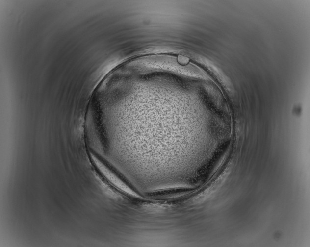 X0000101711185200807241449