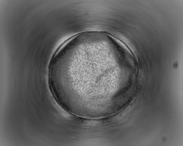 X0000101711187200807241449