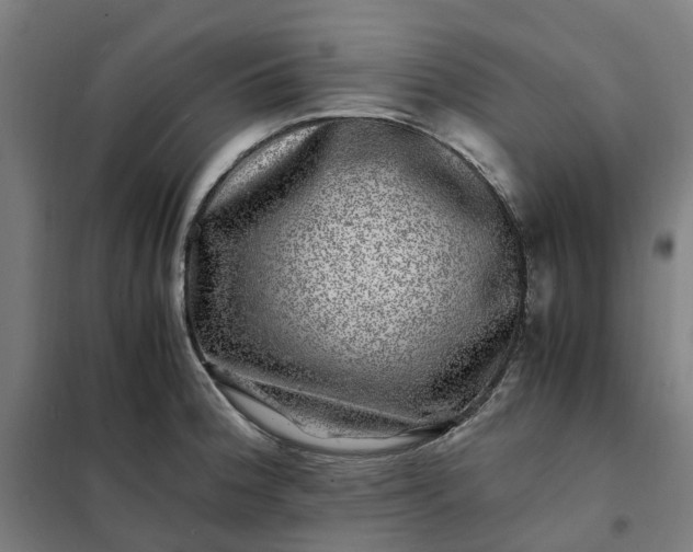 X0000101711188200807241449