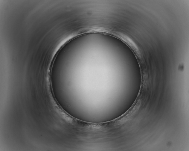 X0000101711190200807241449