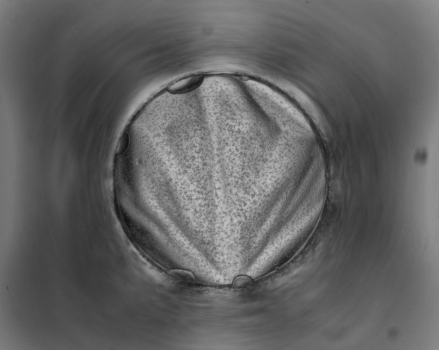 X0000101711191200807241449