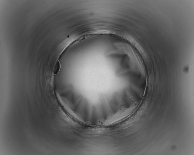 X0000101711193200807241449