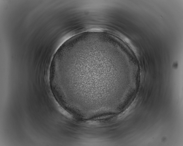 X0000101711194200807241449