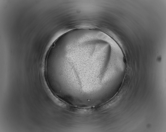 X0000101711195200807241449