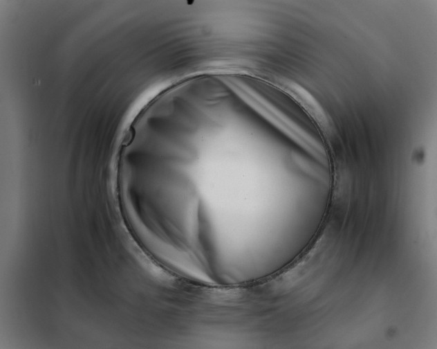 X0000101711196200807241449