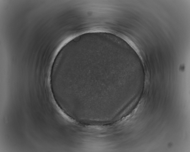 X0000101711197200807241449