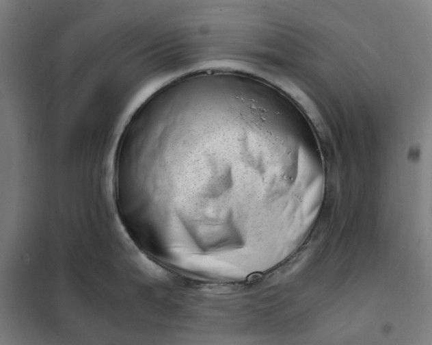 X0000101711199200807241449