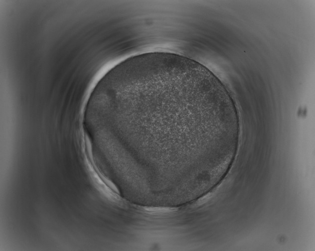 X0000101711200200807241449