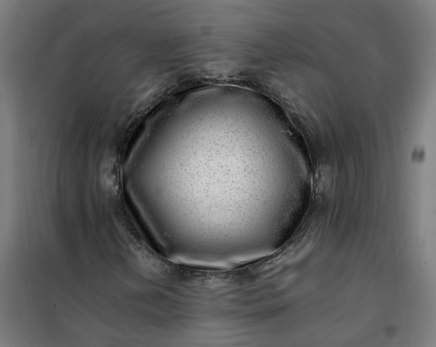 X0000101711202200807241448