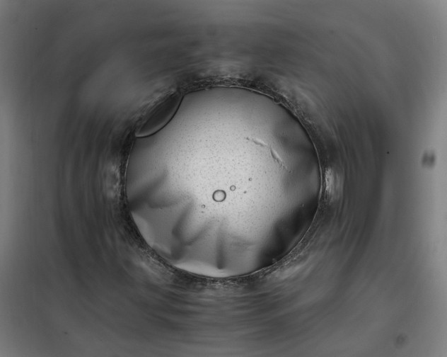 X0000101711203200807241448