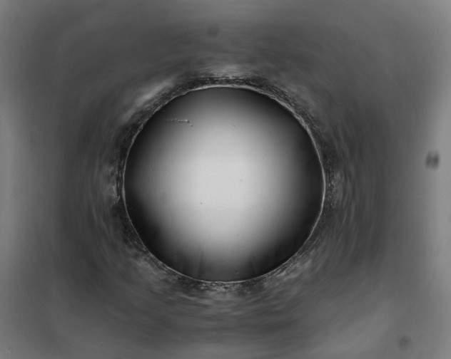 X0000101711205200807241448