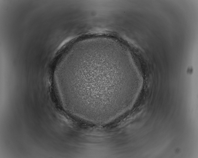 X0000101711206200807241448