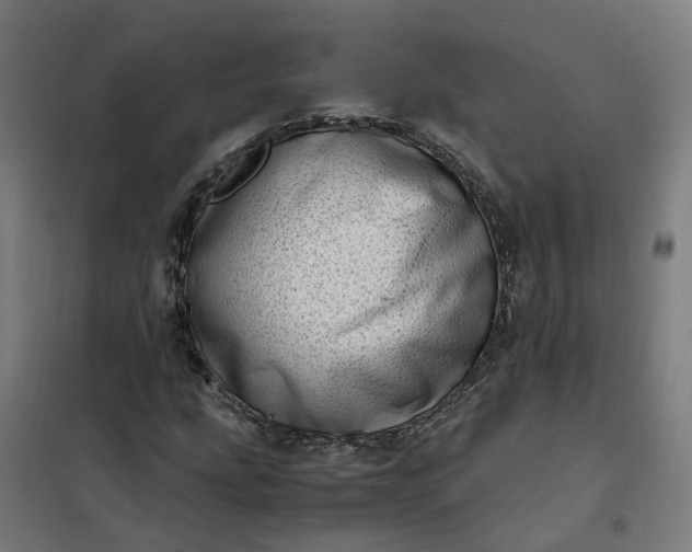 X0000101711207200807241448