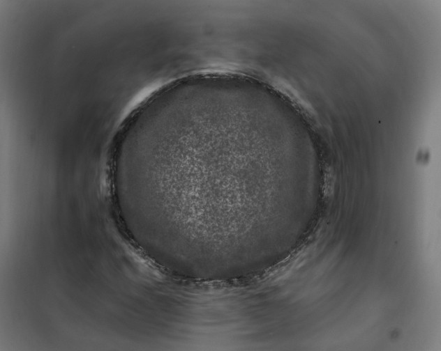 X0000101711208200807241448