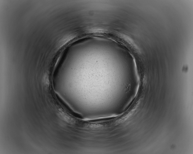 X0000101711209200807241448