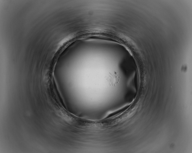 X0000101711210200807241448