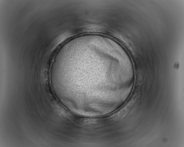 X0000101711211200807241448