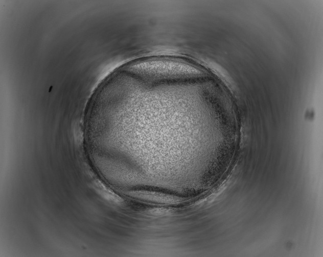 X0000101711212200807241448